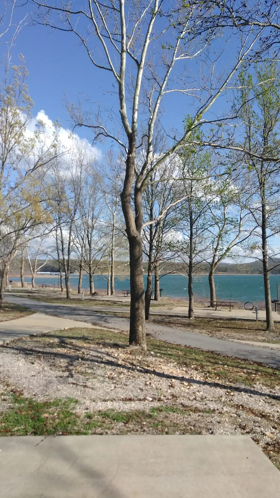 Cookson Bend Marina
