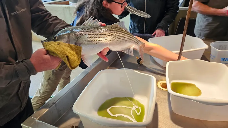 Jack D. Bayless Fish Hatchery