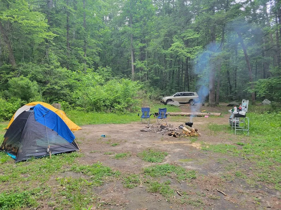 Grapevine Campground