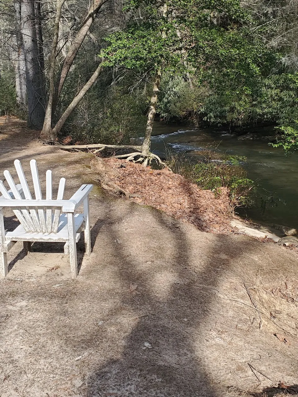 Lakemont Park at Tiger Creek