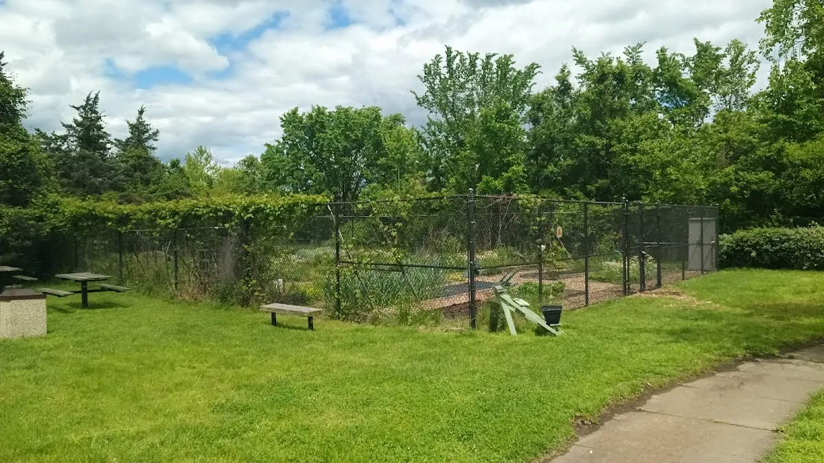 Old Town City Garden
