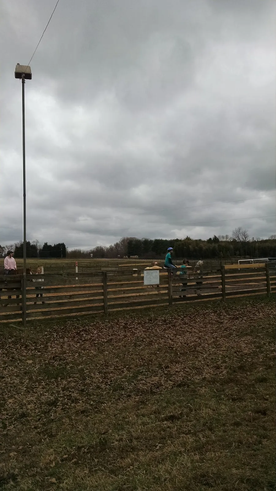 Flintrock Farms