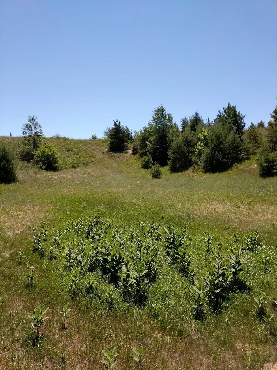 Wild Haven Disc Golf Resort