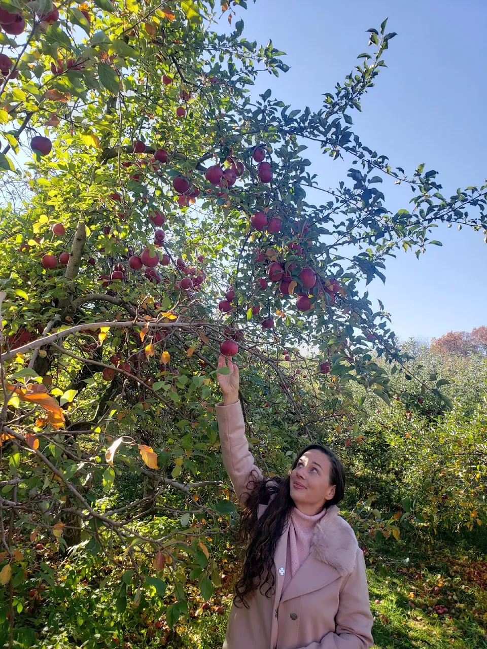 Sleepy Hills Orchard