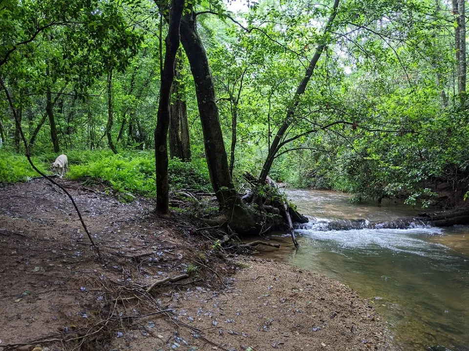 Chattooga River Lodge and Campground