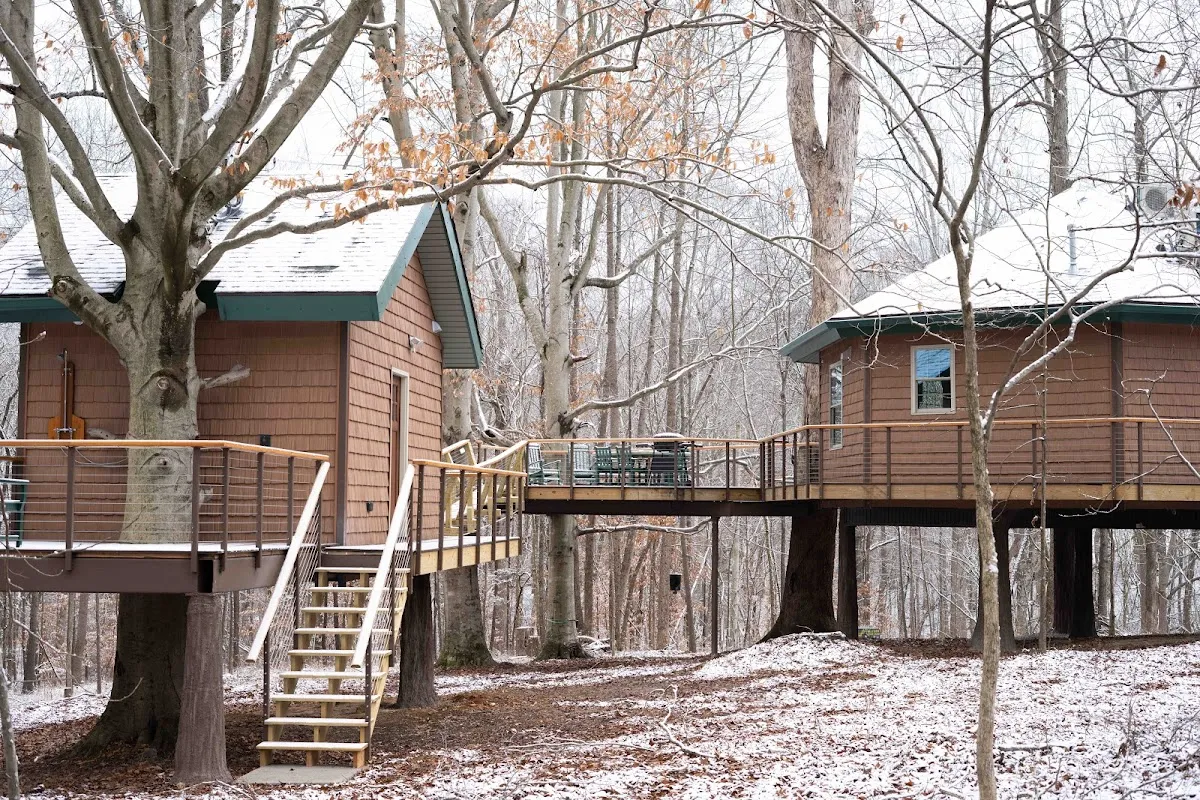 Greenbrier Beechhouse Luxury Treehouse