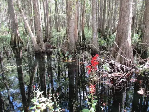 Richloam Wildlife Management Area