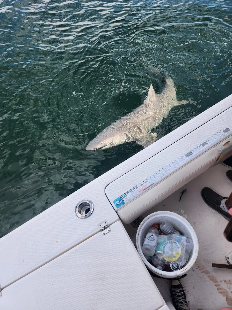 Poseidon Fishing Charters