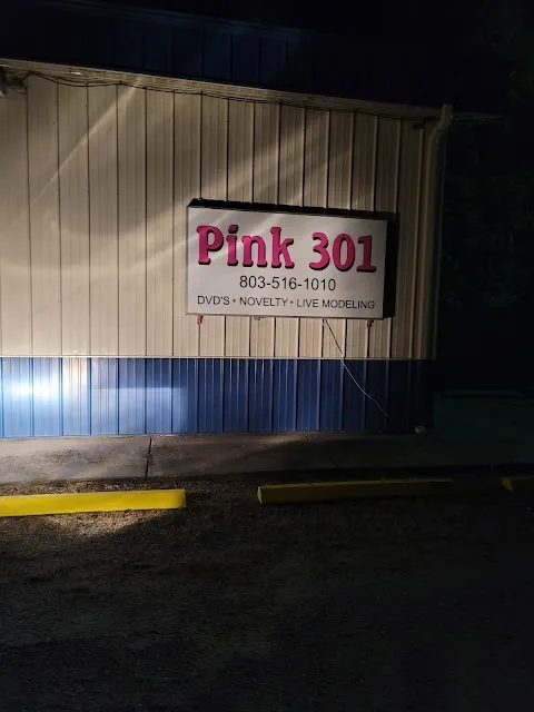 Pink 301