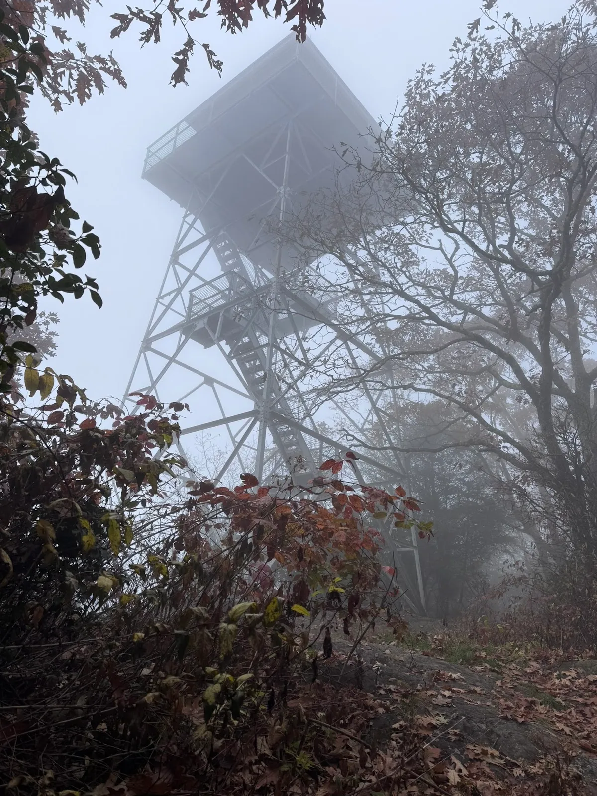 Albert Mountain Fire Tower