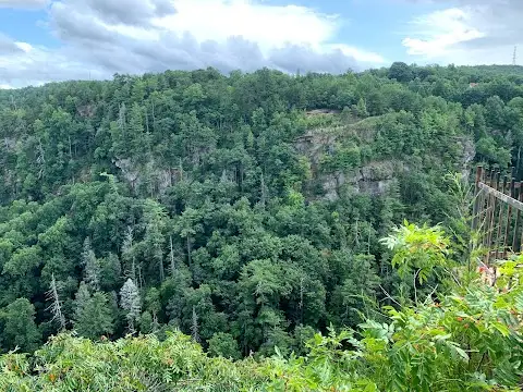 North Wallenda Tower