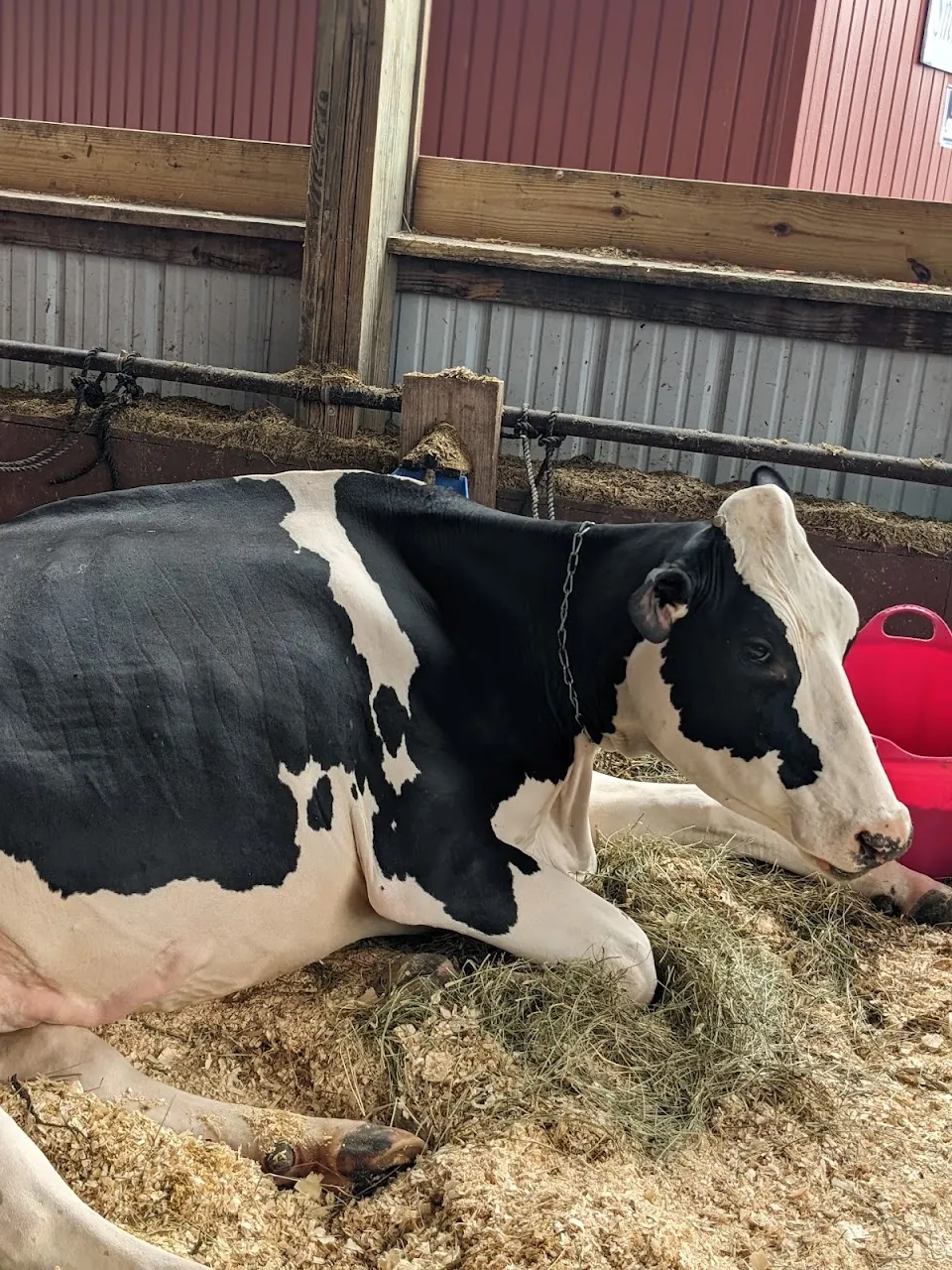 Herkimer County Fair Association