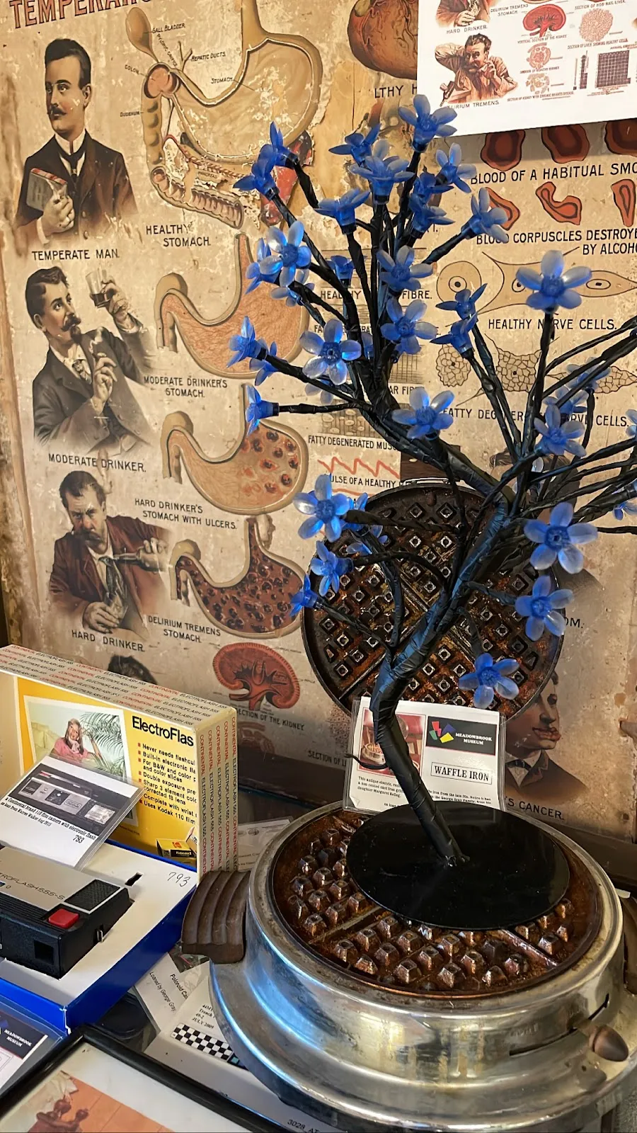 Meadowbrook Museum
