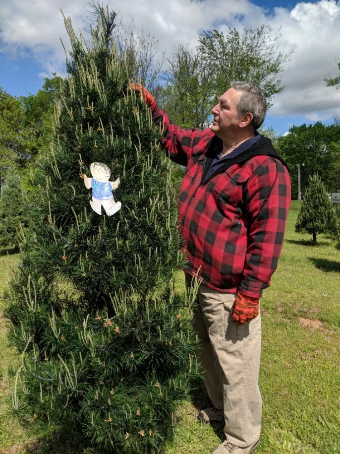 Wilkinson Christmas Farm