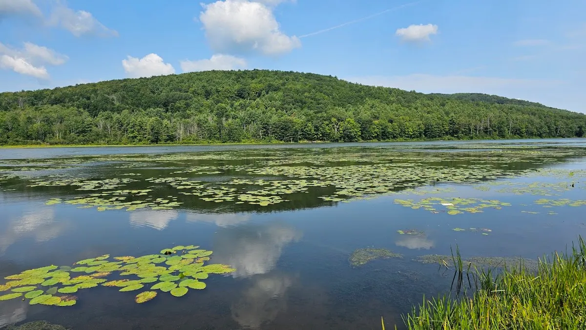 Franklinton Vlaie Wildlife Management Area