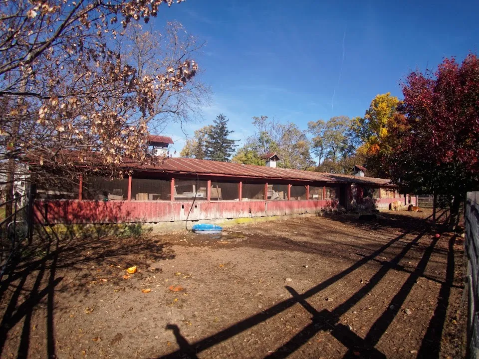 Jones Farm