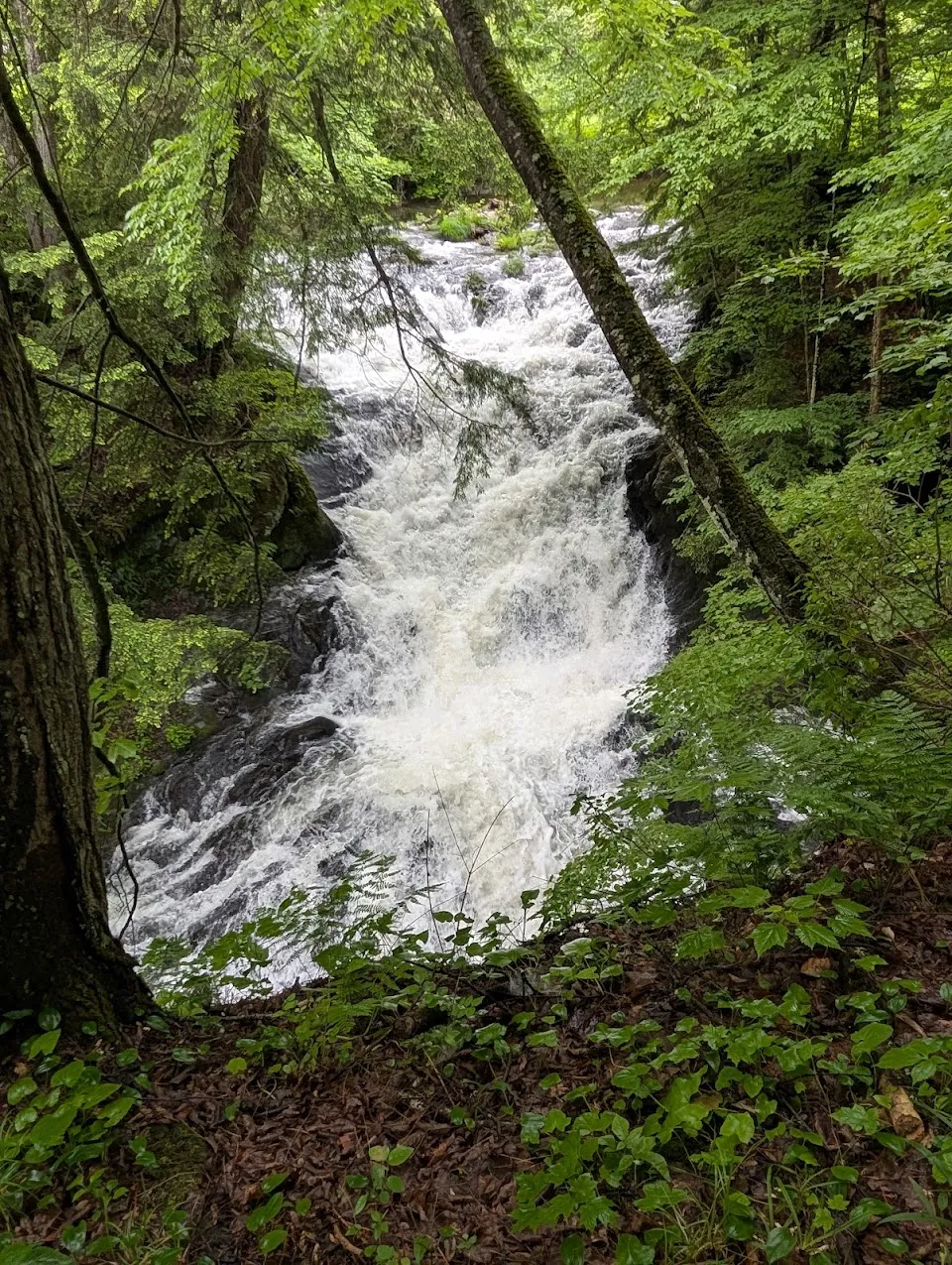 Blow-Me-Down Bridge