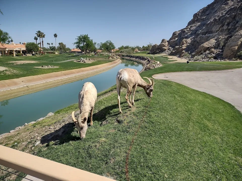 The Club at PGA WEST
