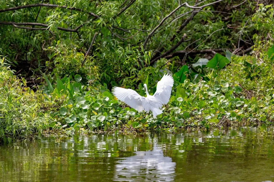 Lake George Conservation Area