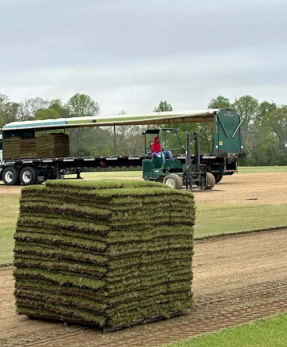 NG Turf Sod Farm, Clarkesville