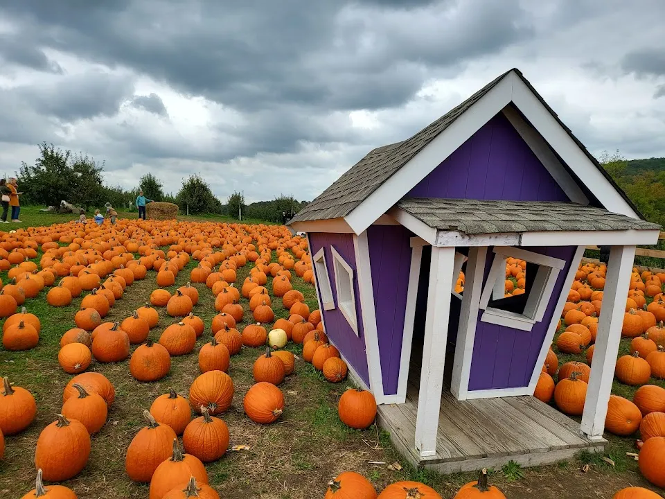Apple Ridge Orchards