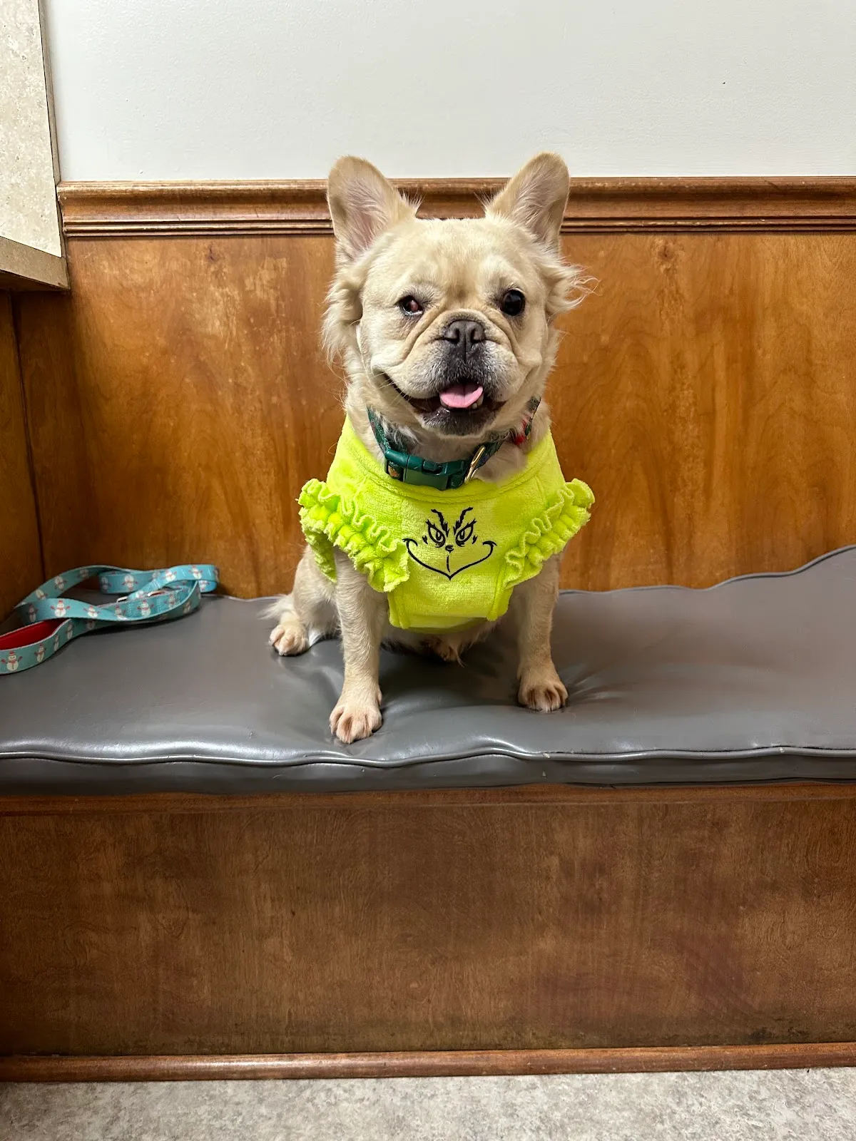 Southern Paws Animal Medical Center