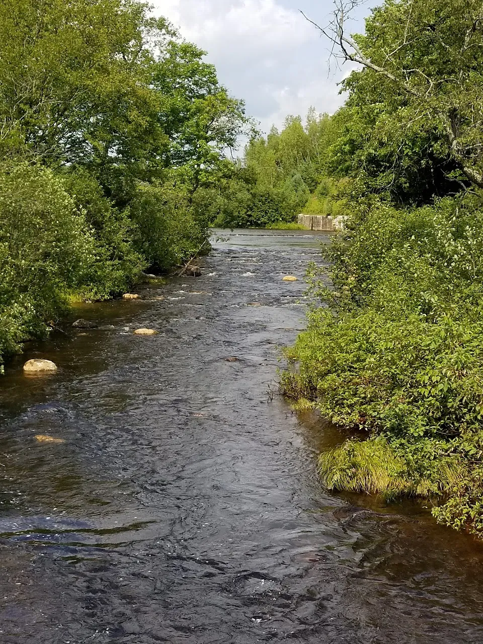 Black Creek State Forest