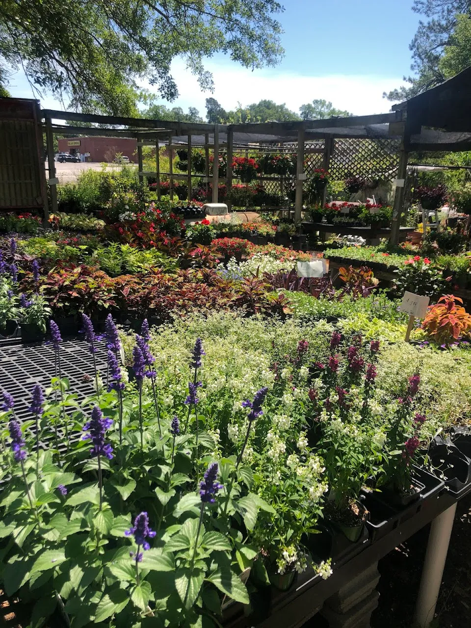 Tanner Nursery