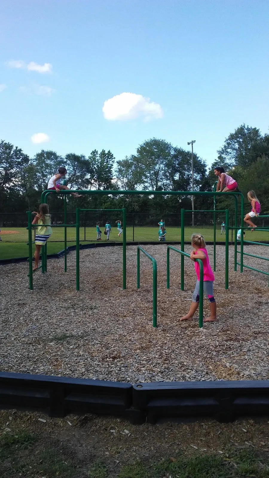 Turbeville Recreation Department