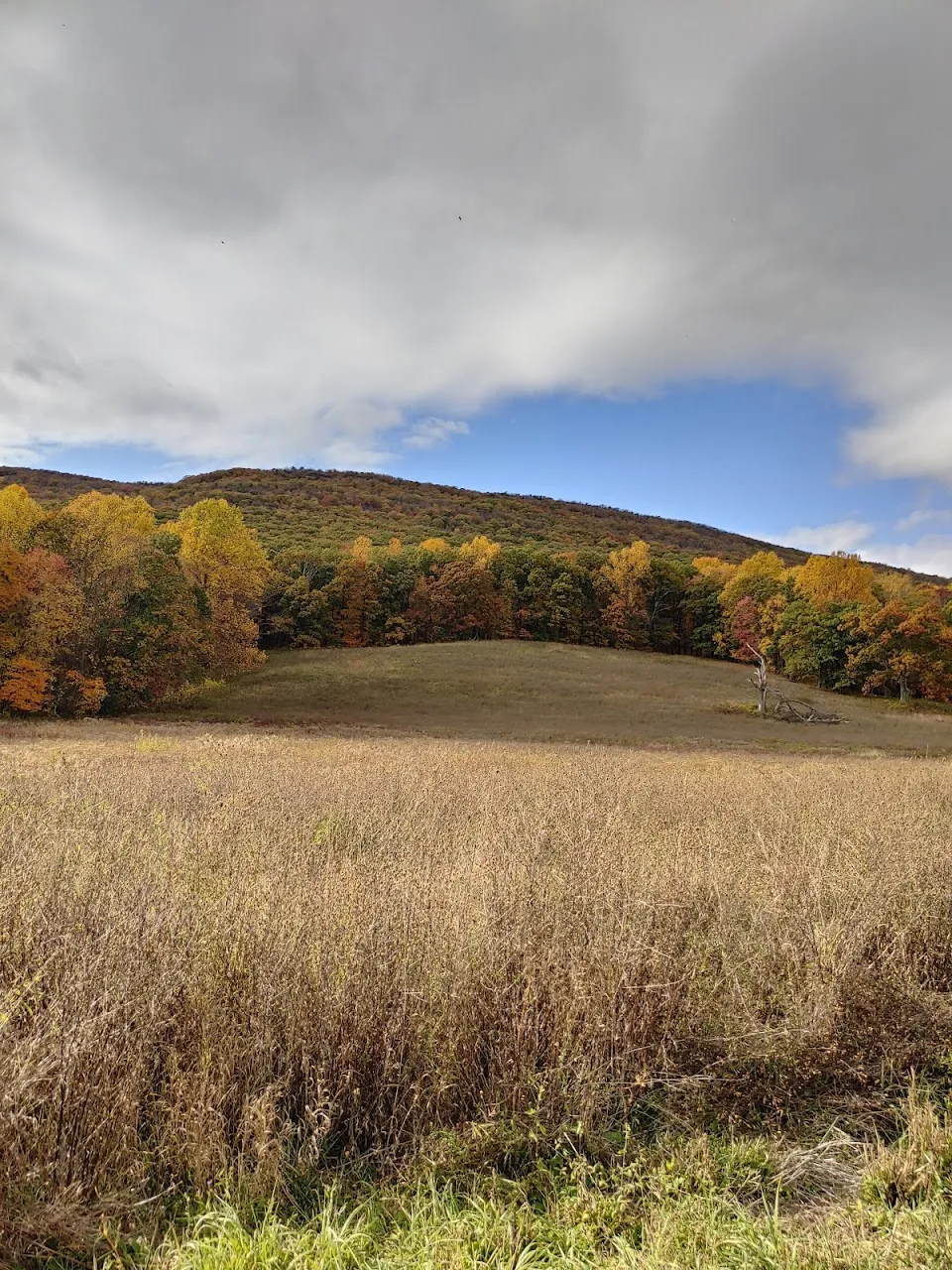 Schunnemunk Mountain Trail Head