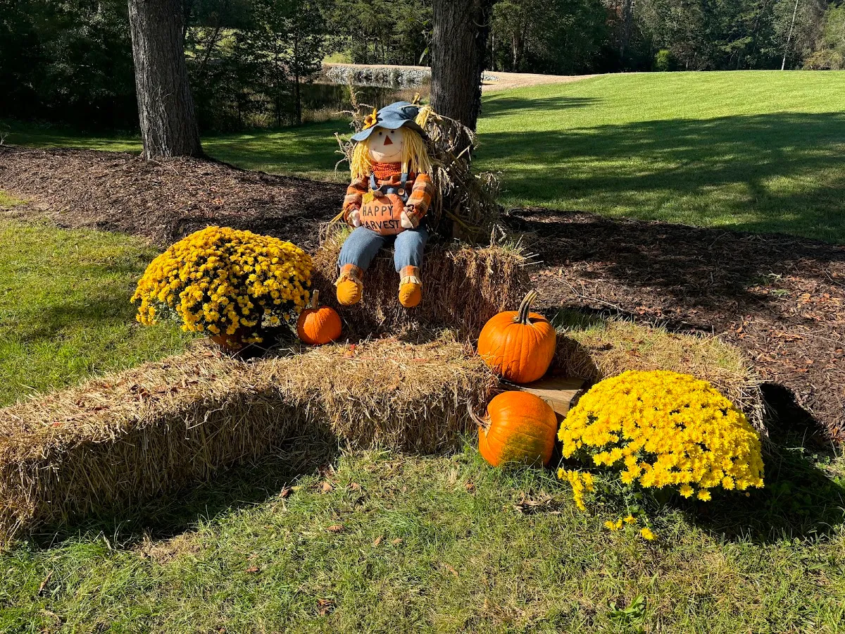 Blooming Acres Farm of NC