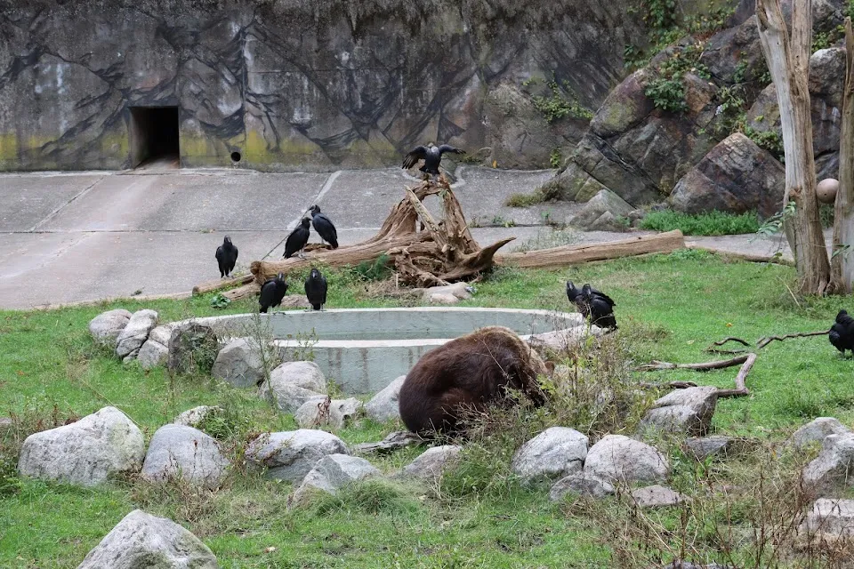 Trailside Museums & Zoo