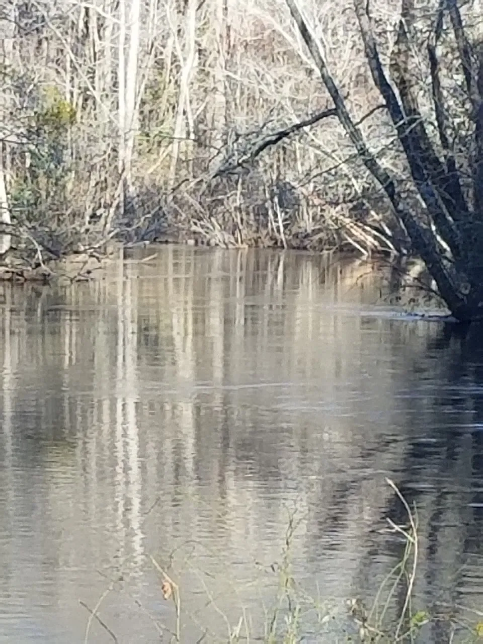 Carson Park