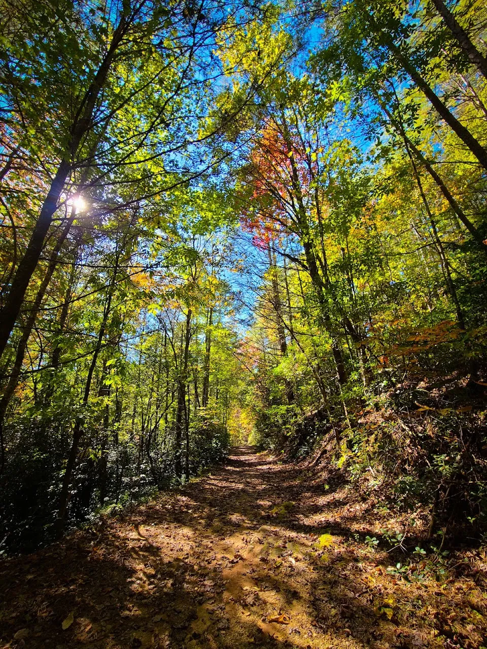 Stonewall Falls & White Twister Trail Heads
