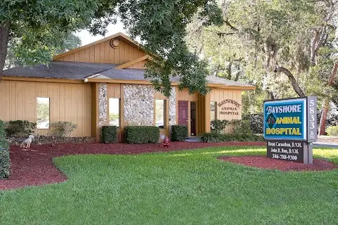 Bayshore Animal Hospital Port Orange
