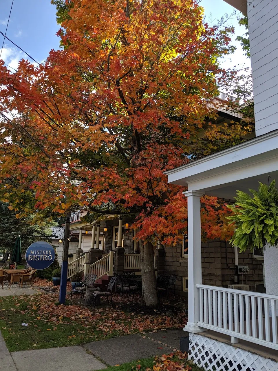 Wagging IT In The ADK, LLC