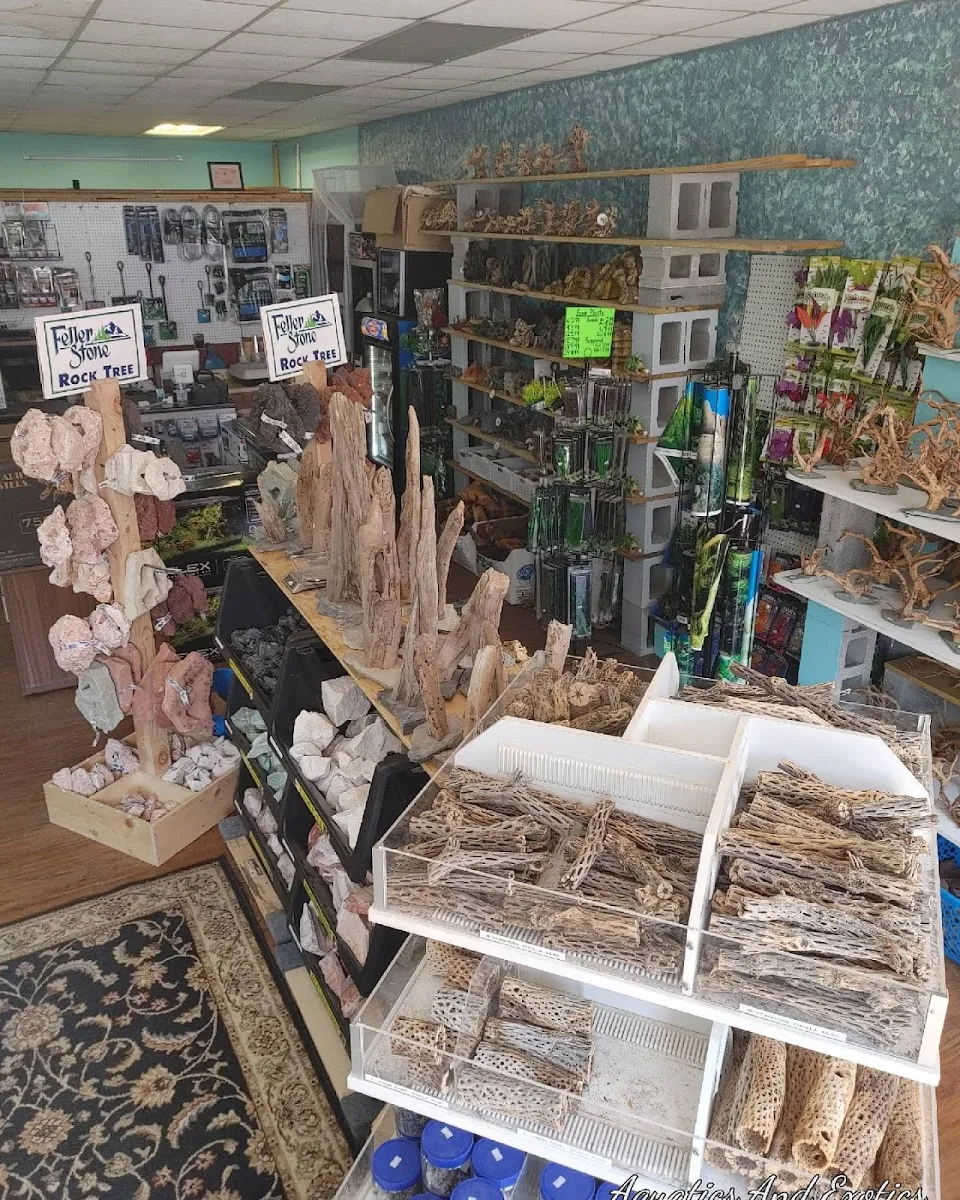 Aquatics and Exotics Pet Shop llc