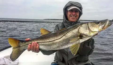 Bebout Fishin' Time