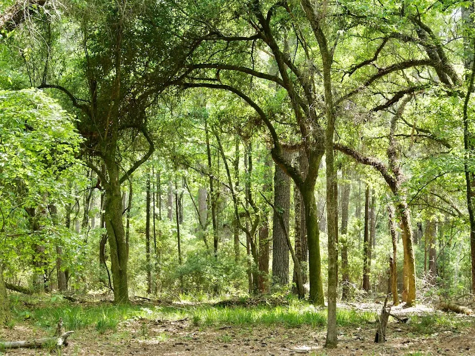 Santee State Park