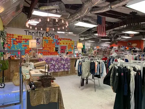 Thrifty Dog Thrift Store