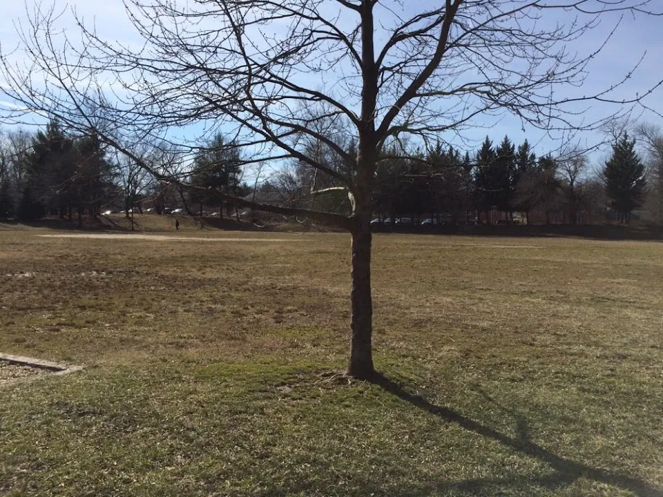 Lattimore Park