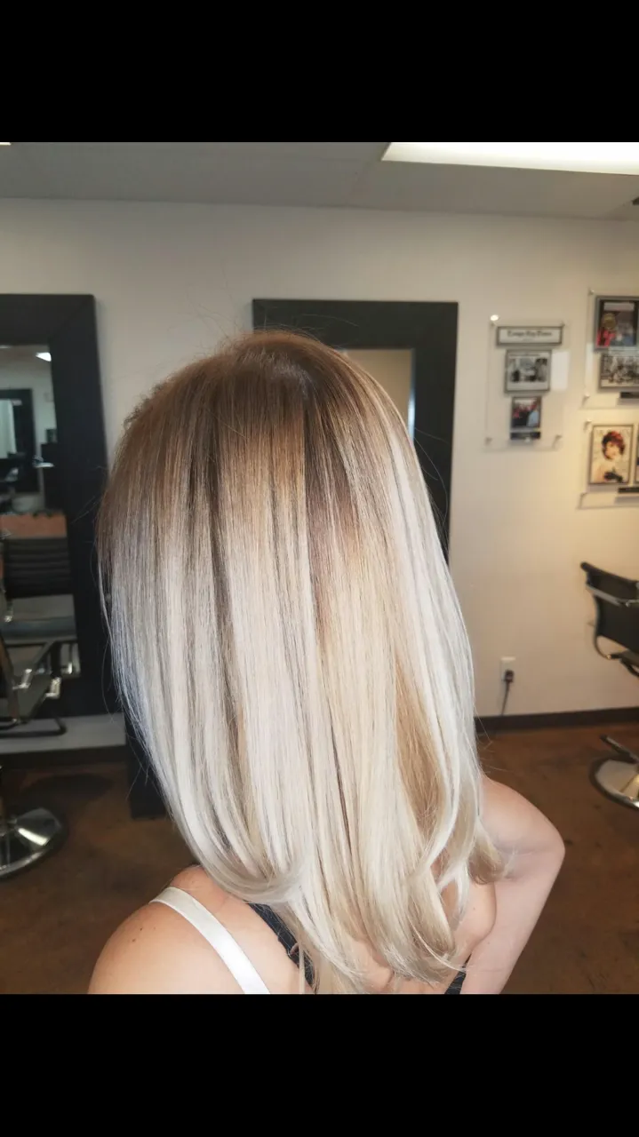 BlowDry 427