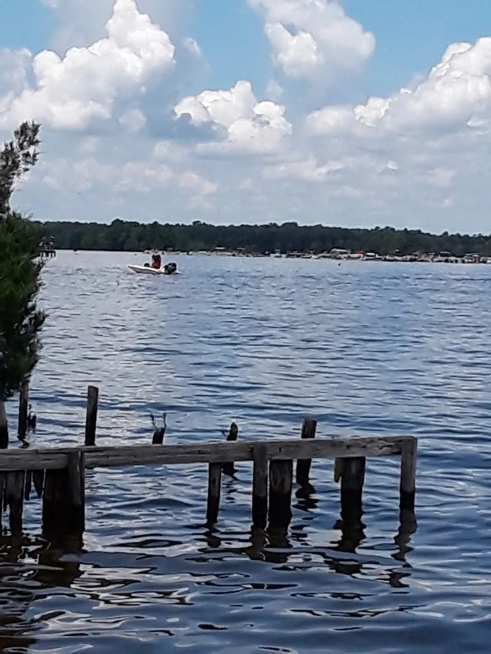 Rocks Pond campground & marina