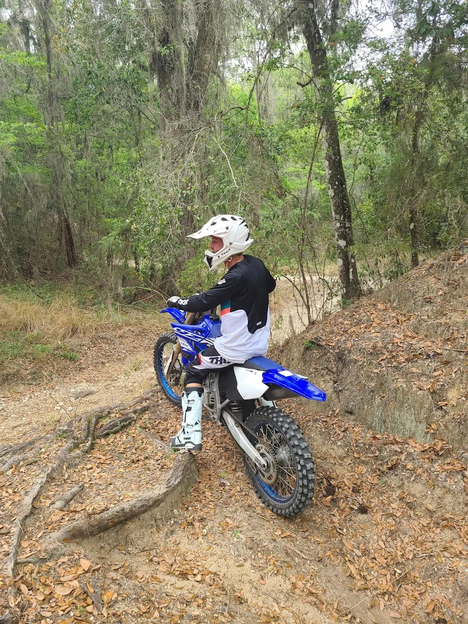 Buttgenbach Campground at Croom Motorcycle Area in Withlacoochee State Forest