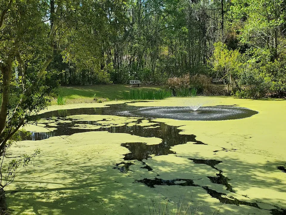 Savannah Botanical Gardens