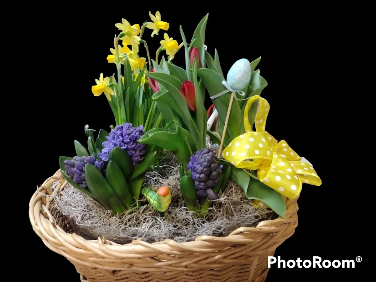 Mimi's Little Posy Place