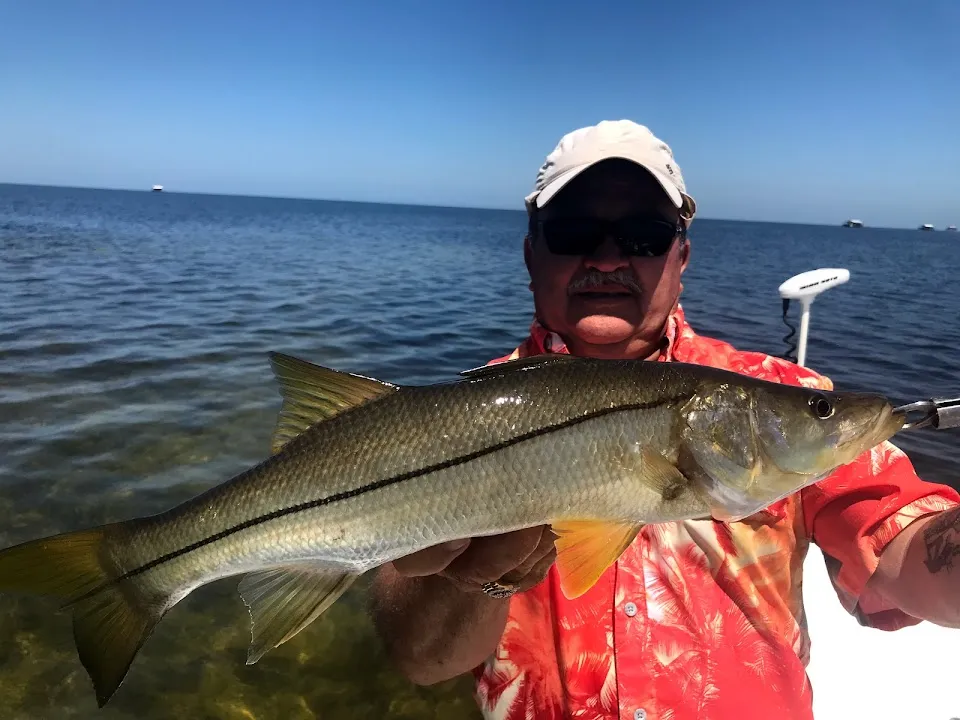 Adventure Coast Charters
