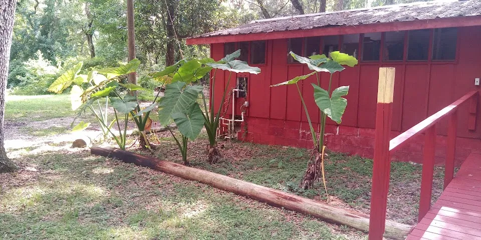 The Farm