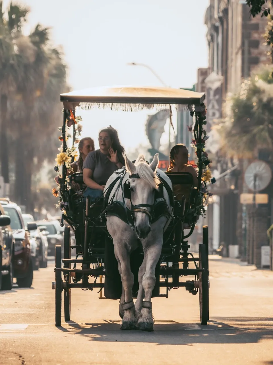 Carriage Tours of Savannah