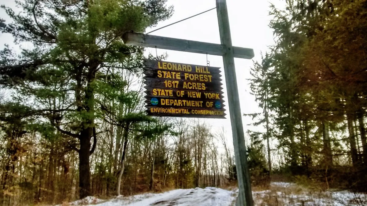 Leonard Hill State Forest